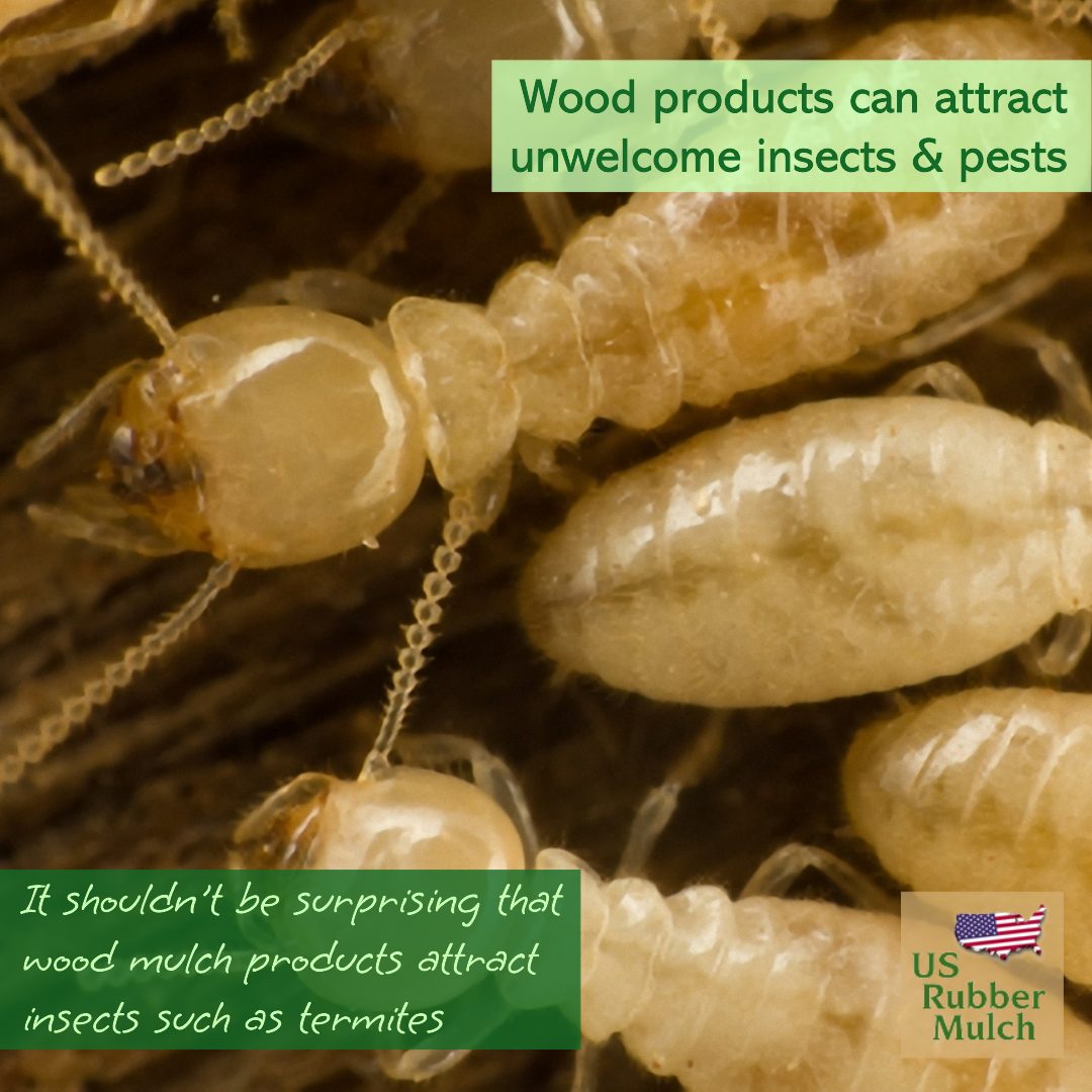 Current playground safety standards are unsafe