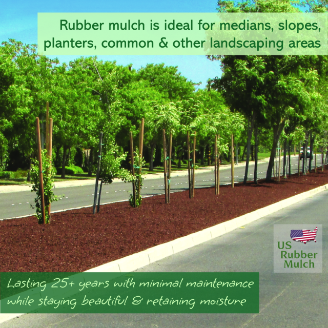 Wood chips attract insect & pests