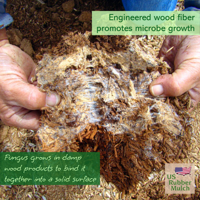 Wood chips attract insect & pests