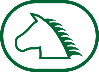Equestrian arena safety