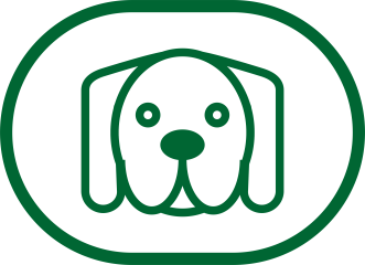 Dog runs and kennels