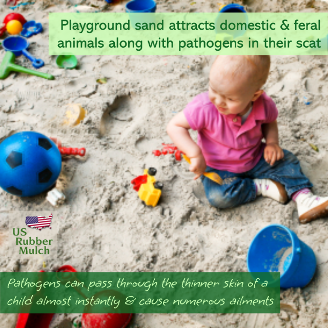 Wood chips attract insect & pests