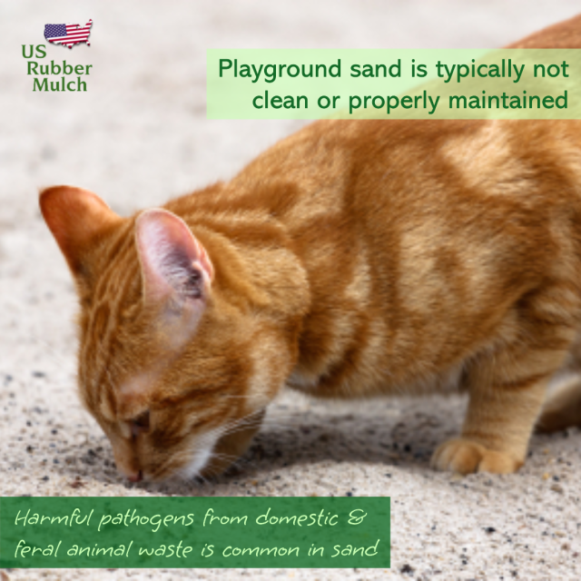 Wood chips attract insect & pests